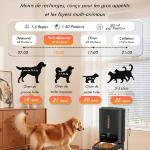 Test Distributeur Croquettes Chien Automatique 15L Nityers : le gros bac qui simplifie les repas des grands chiens