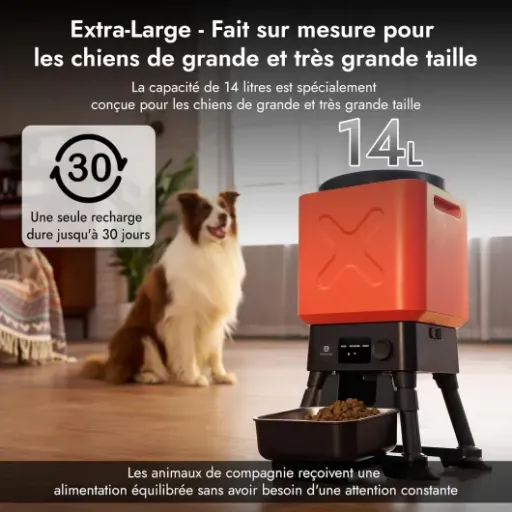 Test Molly&Cody 14L : le gros distributeur pour chien qui fait (presque) tout tout seul