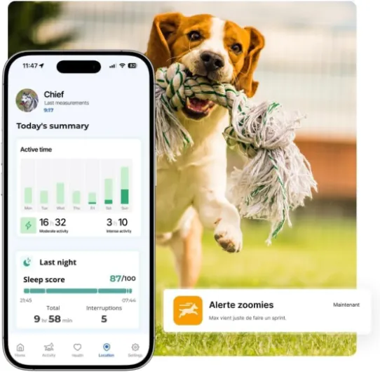 Biotracker Édition 2026 GPS Santé pour Chien Biotracker 2026 Abo 1 an