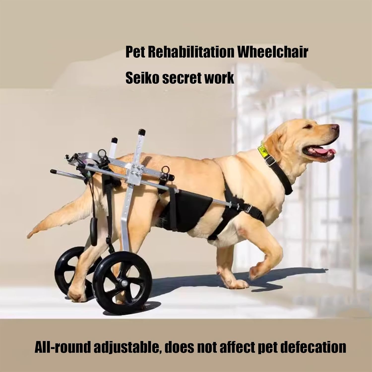 Fauteuil Roulant pour Chien de Taille Moyenne et Grande, Aide à la rééducation, attelle de Jambe arrière, Chariots pour Chien avec Roues, pour la rééducation des Pattes arrière