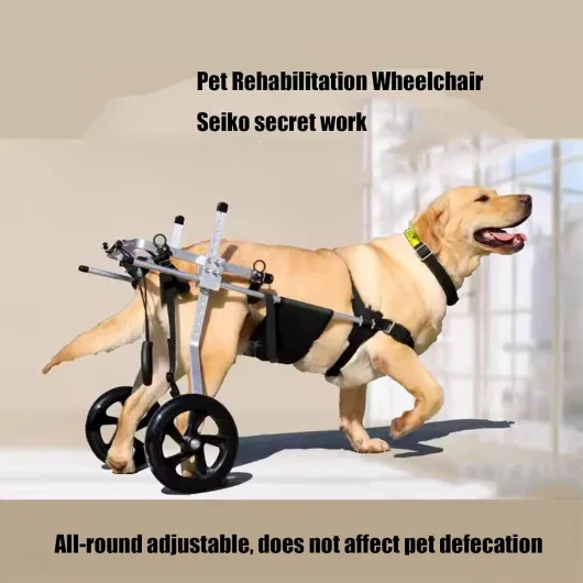 Fauteuil Roulant pour Chien de Taille Moyenne et Grande, Aide à la rééducation, attelle de Jambe arrière, Chariots pour Chien avec Roues, pour la rééducation des Pattes arrière
