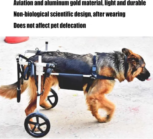 71R4MFOUY7L._AC_SL1500_