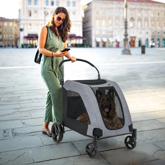 711sA4ZqbdL._AC_SL1500_