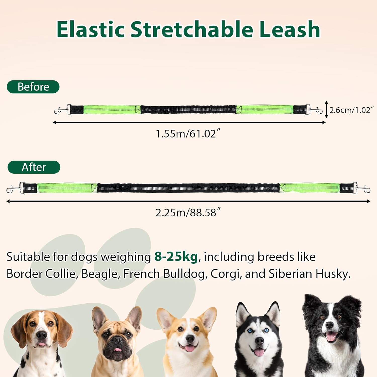 Laisse 3-en-1 à Double Poignée Rembourrée Élastique pour Chiens – 1,6m à 2,2m, Laisse Canicross Chien Accessoire pour Chiens Moyens, Idéale pour Courir, Marcher, Randonner & Voyager Noir et Vert 1,6 m à 2,2 m