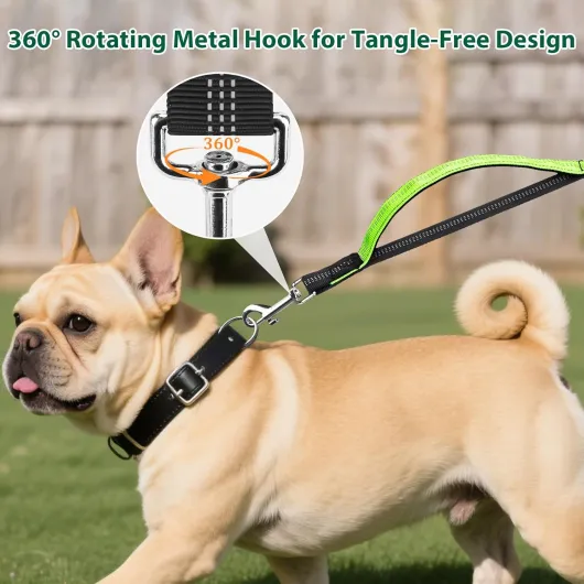 71AE4 5y9DL._AC_SL1500_