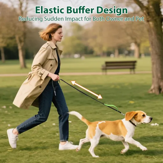 71zVPsqwa0L._AC_SL1500_