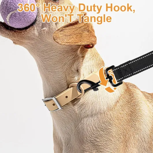 71YKLJ-XgVL._AC_SL1000_