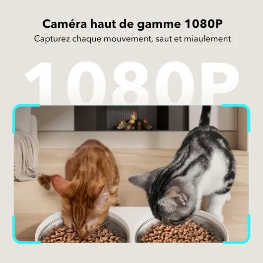 Distributeur Croquettes 2 Chat avec 1080P Camera, 5G et 2.4G WiFi Mangeoire Automatique pour Animaux avec Bols en Acier Inoxydable, Gamelles pour Chats ou Chiens, Connecté App, Blanc