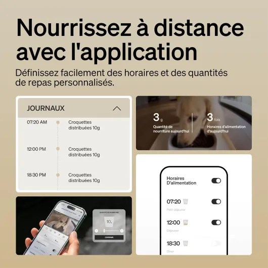 71 1hxnTQ3L._AC_SL1500_