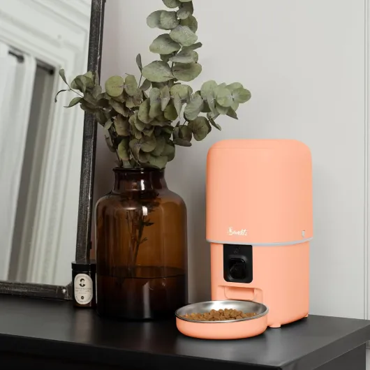 71bzN3xR5BL._AC_SL1500_