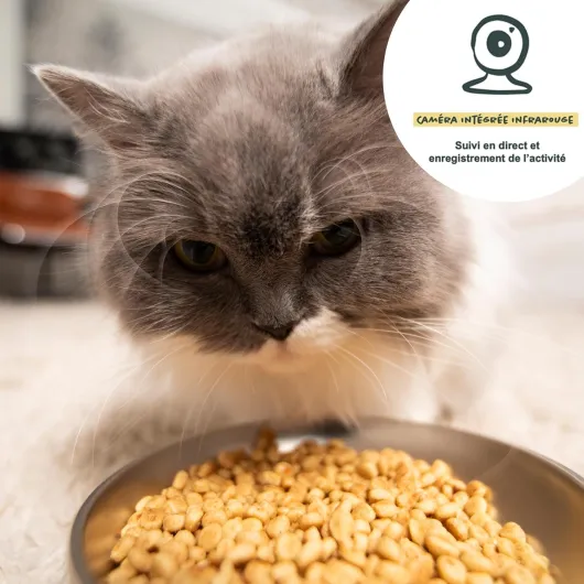 81qbghyI2yL._AC_SL1500_