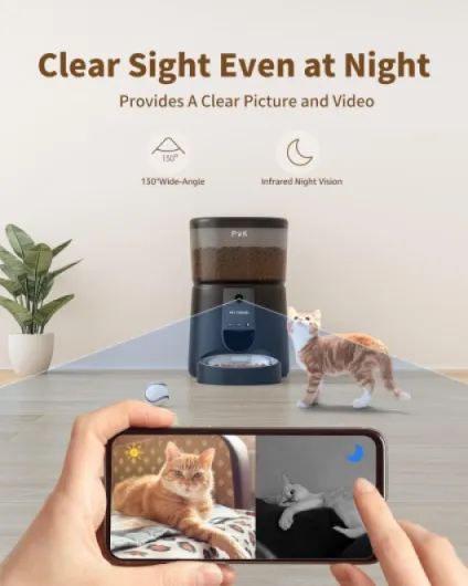 61j7qDam5PL._AC_SL1500_