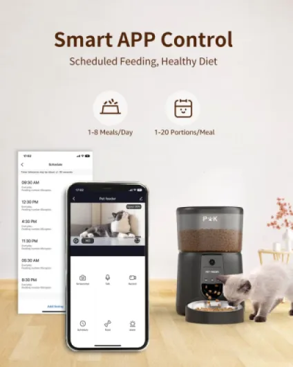 61QerqXCvXL._AC_SL1500_