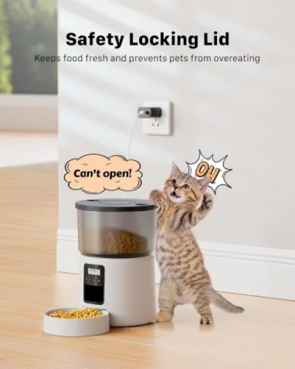 71YTsoPnRJL._AC_SL1500_