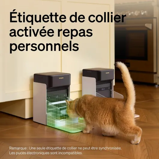 81FQvqMjeNL._AC_SL1500_