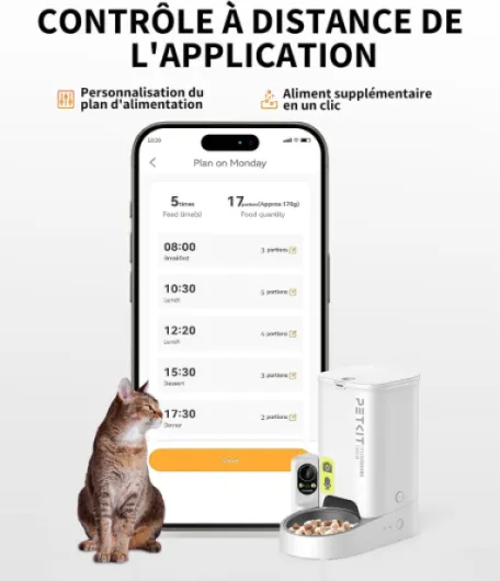61AnOuiVGkL._AC_SL1500_