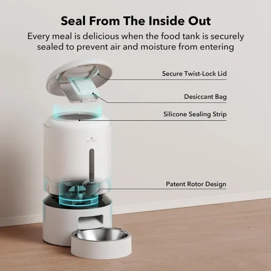 614A9Ecul2L._AC_SL1500_