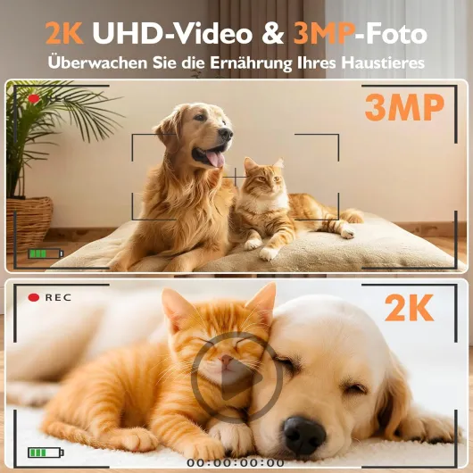 71GMZfWam6L._AC_SL1500_