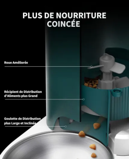 61iFysbIpgL._AC_SL1500_