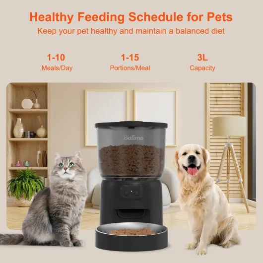 71J-BQSpnZL._AC_SL1500_