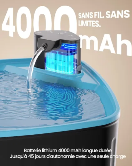 71xYyJn1LnL._AC_SL1500_