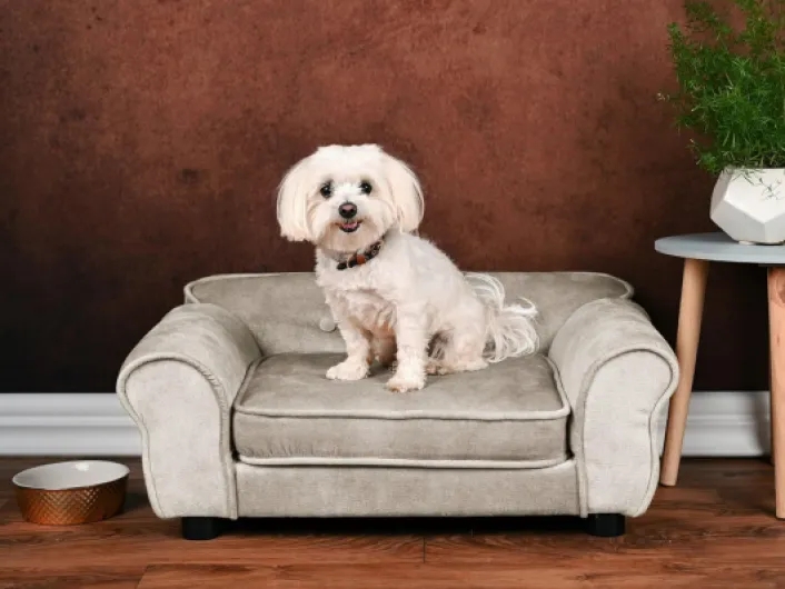 Canapé pour Chien et Chat Beige – Structure en Bois, Assise rembourrée, Facile à Nettoyer – prêt à l’Emploi Beige – W02