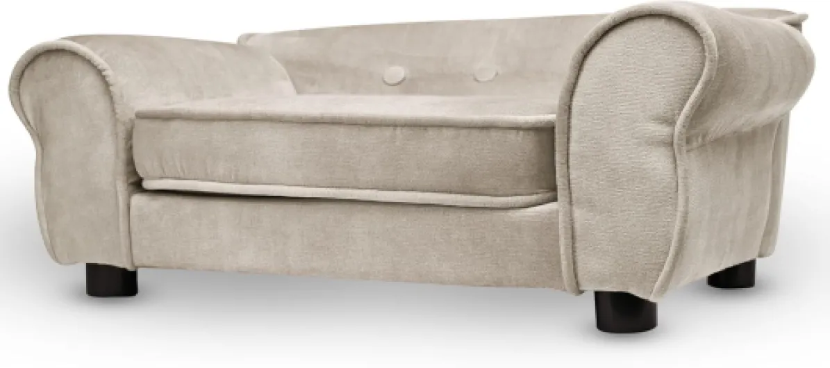 61ePF6zA1rL._AC_SL1500_