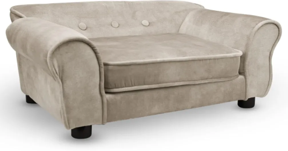 61mSLjZyrzL._AC_SL1500_