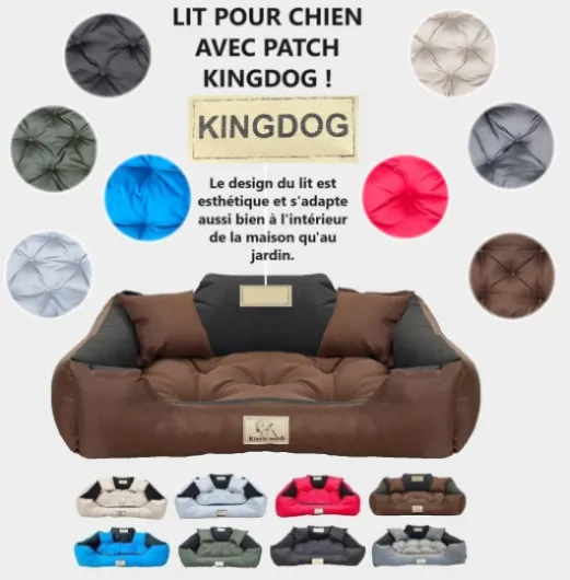 71GrNx8S3sL._AC_SL1500_