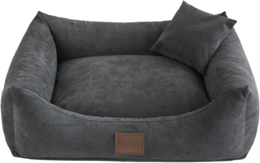 71GQ0jMGvrL._AC_SL1200_