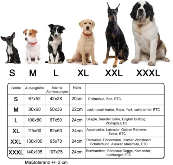 614uYPdIy9L._AC_SL1000_