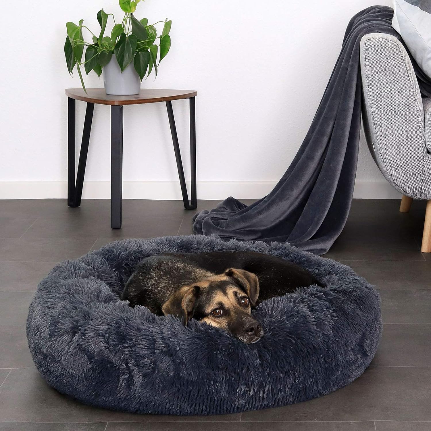 Lionto Lit Donut pour Chiens et Chats, lit Rond Moelleux pour Petits et Grands Animaux domestiques, Ø70 cm, lit pour Chats en Peluche Doux, Coussin pour Chien avec Rembourrage Extra épais, Gris foncé L 70 x l 70 x H 20 cm Gris Foncé