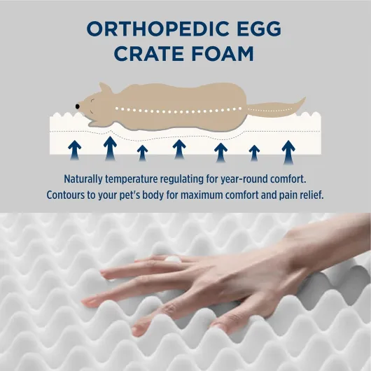 Lit orthopédique pour Grands Chiens - 112 x 81 x 7,6 cm - Coussin Moelleux - Tapis Lavable - Marron - pour Grands Chiens L 112 x l 81 x H 8 cm Brun