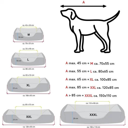 612HnGTIQoL._AC_SL1500_