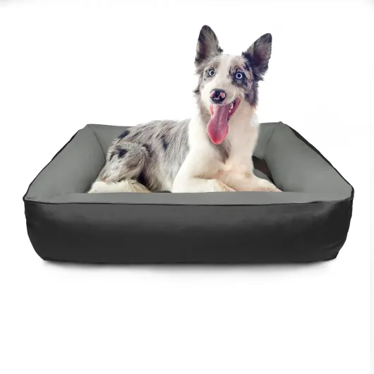 719fbI9XfHL._AC_SL1500_