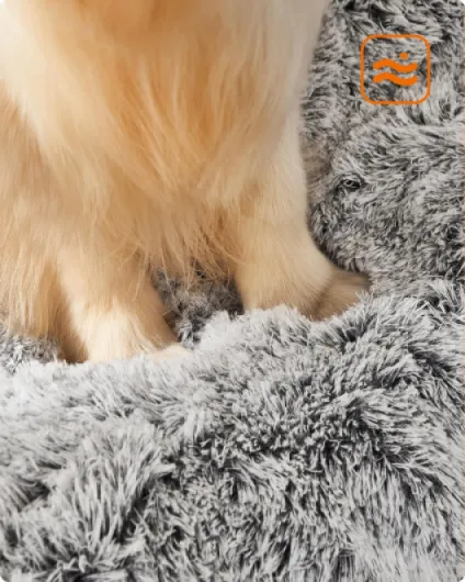 81uXHY-l7 L._AC_SL1500_