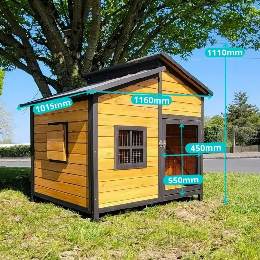 81y3SsvSupL._AC_SL1200_