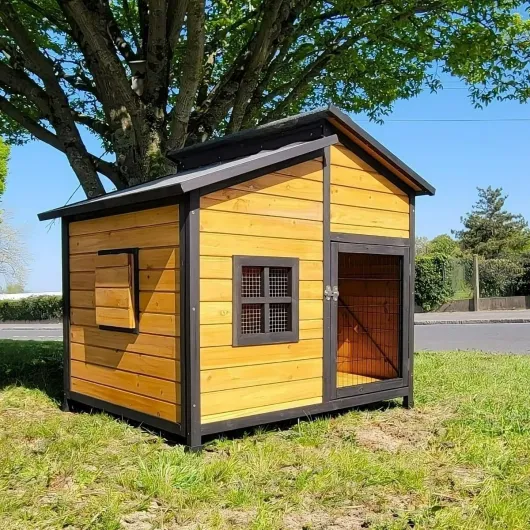 81QSpAMhU9L._AC_SL1200_