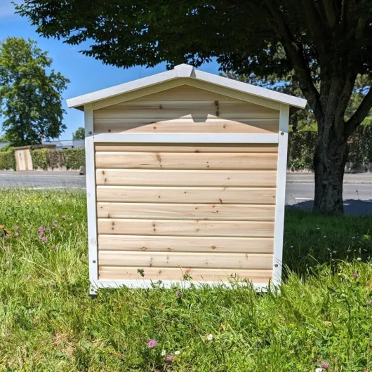 71CttGsnxAL._AC_SL1134_