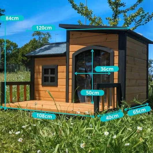 71Ui6VXyv1L._AC_SL1200_