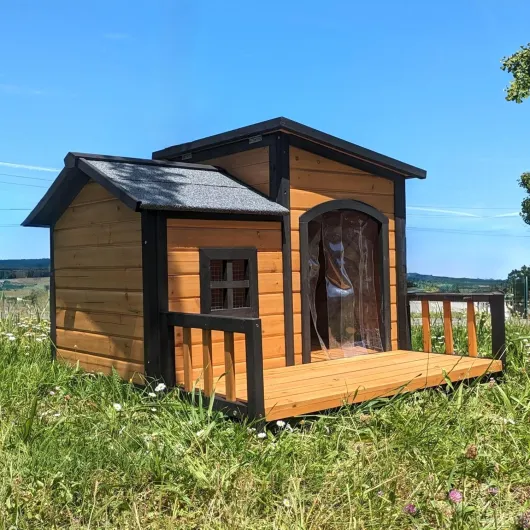 81PaGpX-1pL._AC_SL1500_