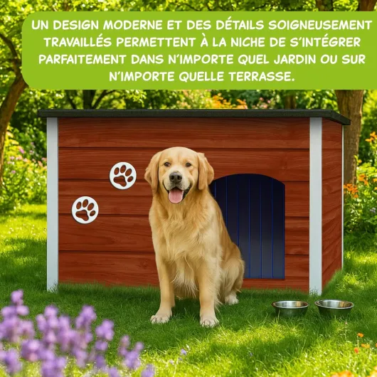 81u7SmQ9RZL._AC_SL1500_