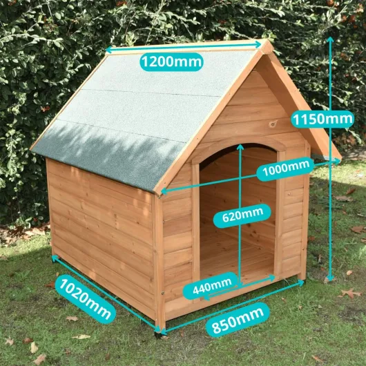 81fUTs64UGL._AC_SL1200_