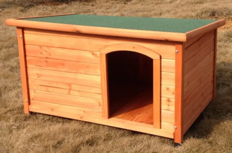 614O7SBwBiL._AC_SL1000_