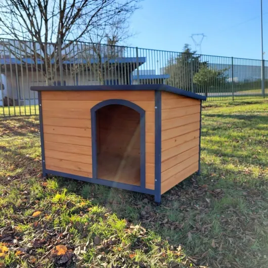 71A8qk69jrL._AC_SL1200_