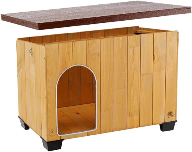 61PwTiK1IcL._AC_SL1000_