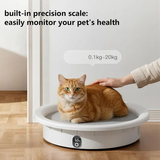 71qLiNmmcUL._AC_SL1500_