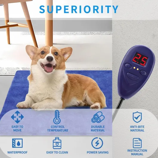 81NU1pqCvoL._AC_SL1500_