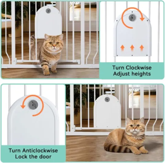 61s5bTE7hBL._AC_SL1000_