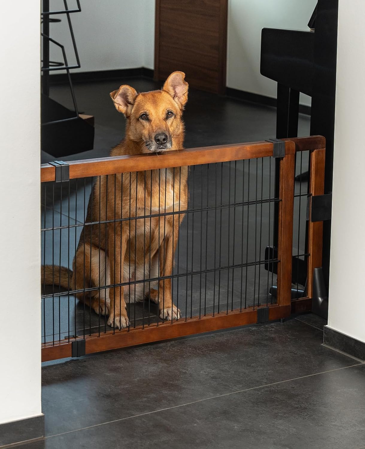 Lionto Barrière de sécurité Extensible pour Chien, Grille de Protection en Bois de pin Attrayant, Hauteur 50 cm, barrière Robuste pour escaliers/Portes, Montage Facile, Brun/Noir